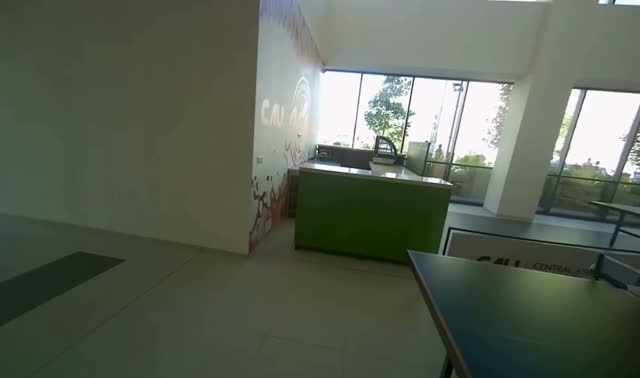 Sweeping hallway floor: egocentric robotics sample