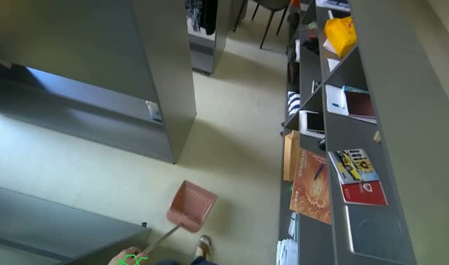 Sweeping office floor: egocentric robotics sample