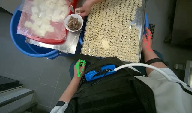 Making dumplings with meat filling: egocentric robotics sample