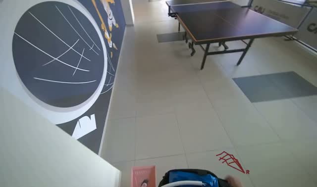 Sweeping floor with broom and dustpan: egocentric robotics sample