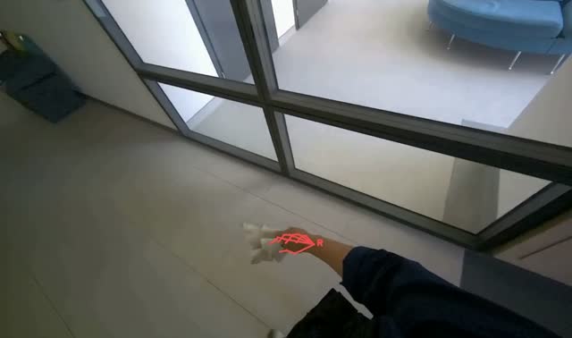 Wiping door handle and frame: egocentric robotics sample